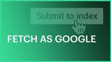 آموزش استفاده از ابزار Fetch as Google